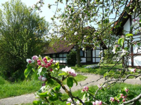 Ferienhaus Deichgraf 86 im Feriend